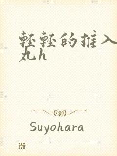 轻轻的推入合欢丸h