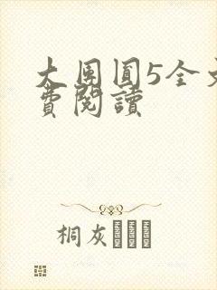 大团圆5全文免费阅读