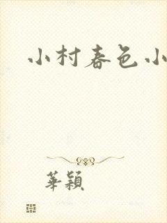 小村春色小说