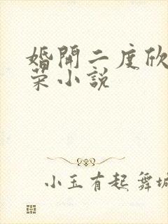 婚开二度欣欣向荣小说