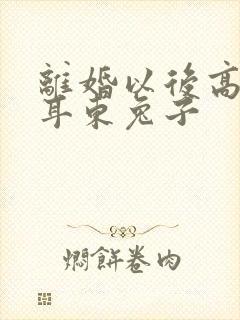 离婚以后高干 耳东兔子