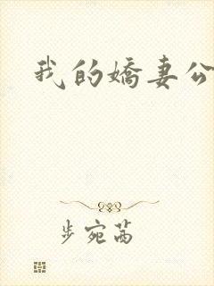 我的娇妻公务员