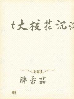 t大校花沉沦