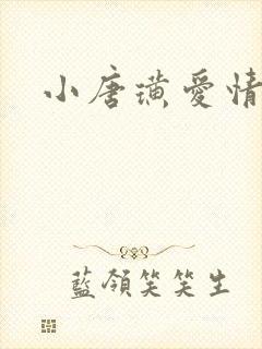 小唐璜爱情历史