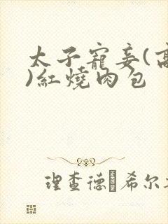 太子宠妾(高肉)红烧肉包