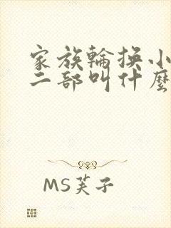 家族轮换小说第二部叫什么名字