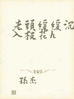 老头缓缓沉腰进入校花h