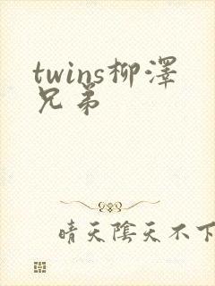 twins柳泽兄弟