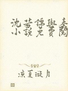 沈若锦与秦琅的小说免费阅读