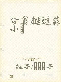 公翁挺进苏玥的小泬