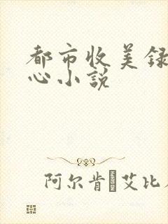 都市收美录宁素心小说
