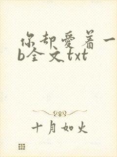 你却爱着一个sb全文txt