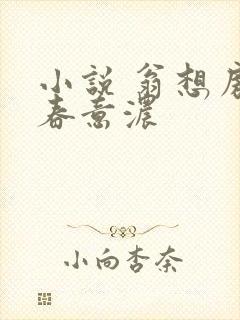 小说 翁想房中春意浓