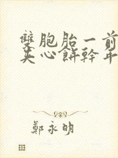 双胞胎一前一后夹心饼干年下