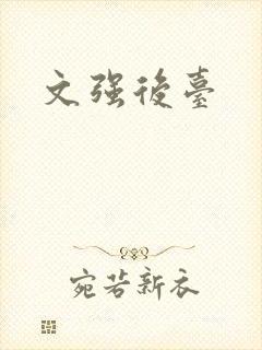 文强后台