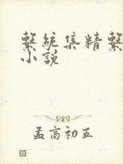 系统集精系统 小说