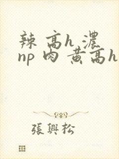 辣 高h 浓 np 肉 黄高h
