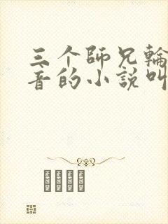 三个师兄轮流上音的小说叫什么