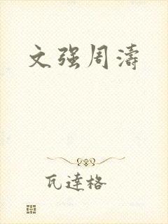 文强周涛