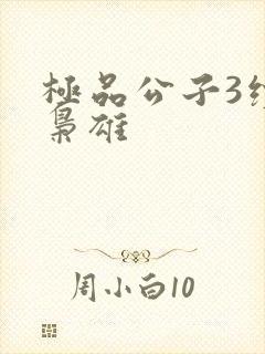 极品公子3续世枭雄