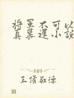 将军不可以魏云真慕迟小说笔趣阁