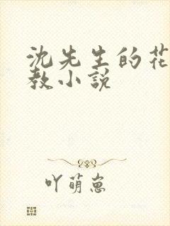 沈先生的花式调教小说