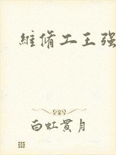 维修工王强张婷