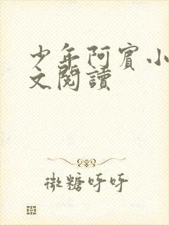 少年阿宾小说全文阅读