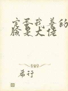 完蛋我养的小白脸是大佬