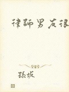 律师男友很难撩