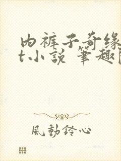 内裤子奇缘txt小说 笔趣阁