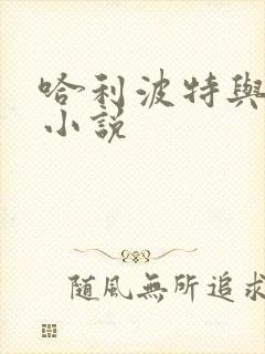 哈利波特与密室小说