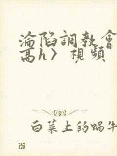 沦陷调教会所〈高h〉视频