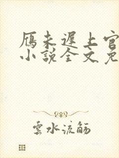 雁未迟上官穿越小说全文免费阅读