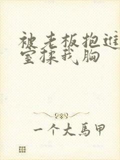 被老板抱进办公室揉我胸