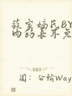 苏家嫡氏BY吃肉的长耳兔