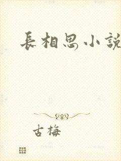 长相思小说原著