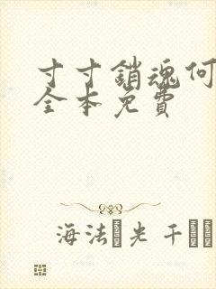 寸寸销魂何生祥全本免费