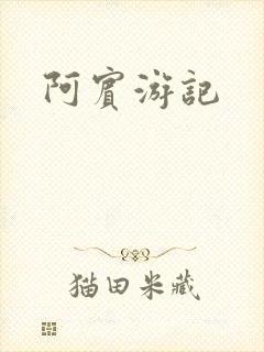阿宾游记