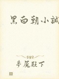 黑白朝小诚