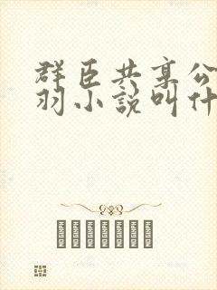 群臣共享公主银羽小说叫什么