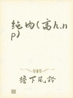 纯肉(高h.np)