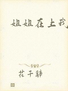 姐姐在上我在下