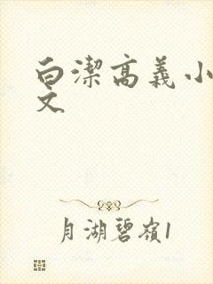 白洁高义小说全文