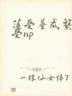 荡受养成系统总受np