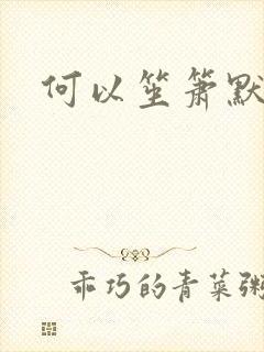 何以笙箫默小说