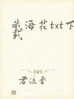 藏海花txt下载
