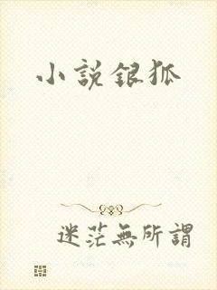 小说银狐