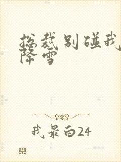 总裁别碰我 韩降雪