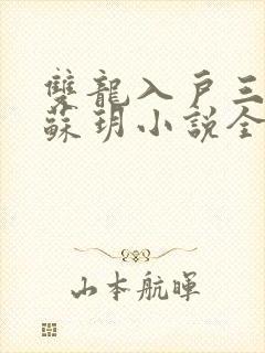 双龙入户三人行苏玥小说全文阅读